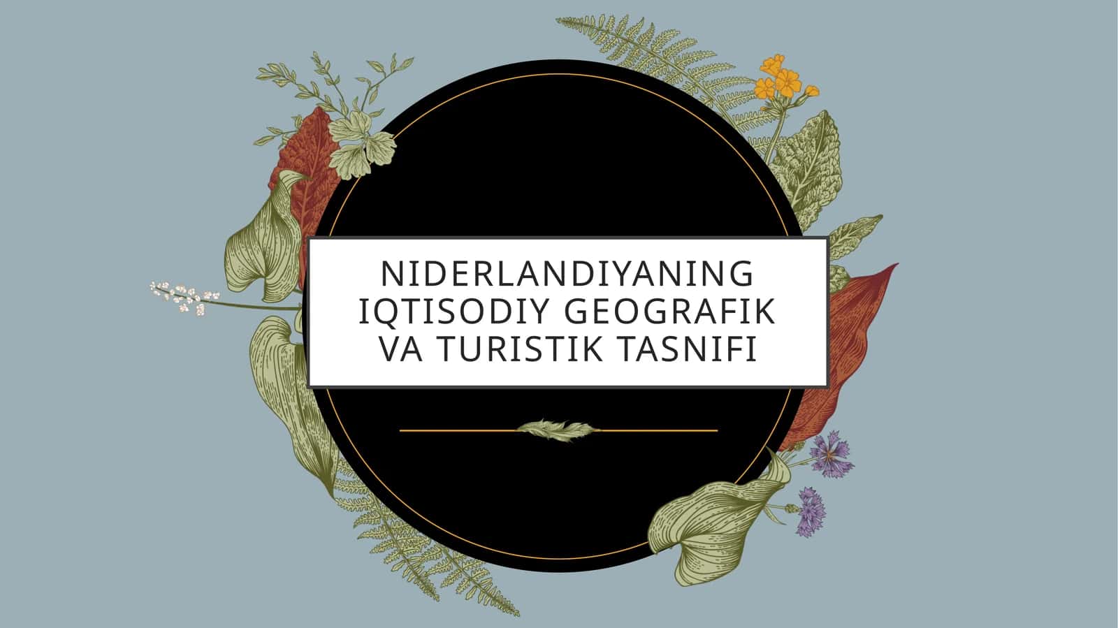 Niderlandiyaning iqtisodiy geografiyasi 1
