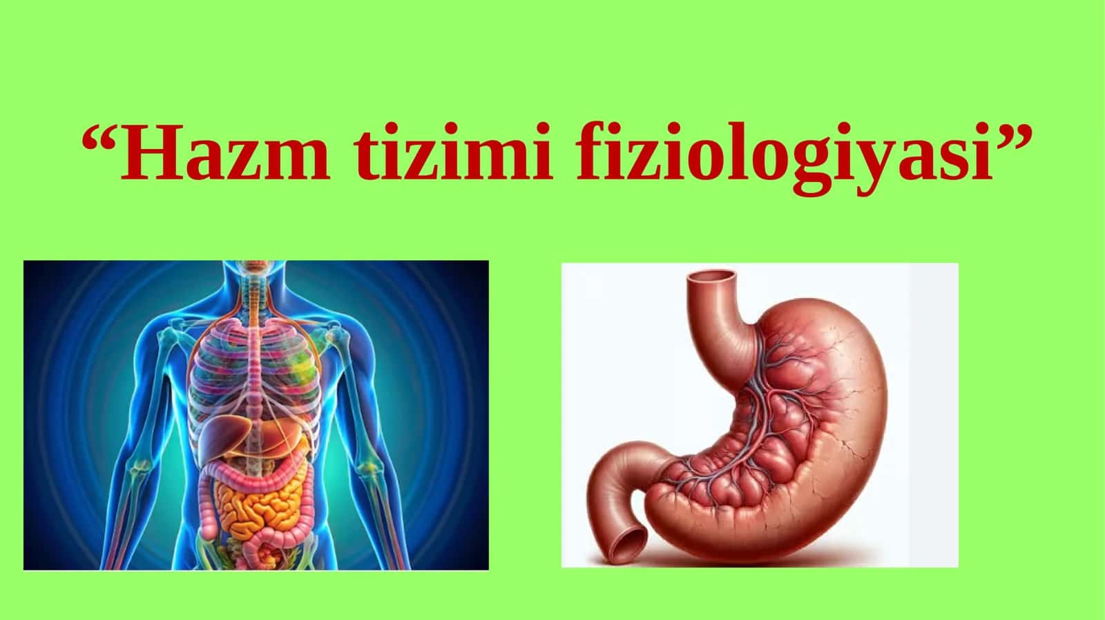 Hazm tizimi fiziologiyasi 1