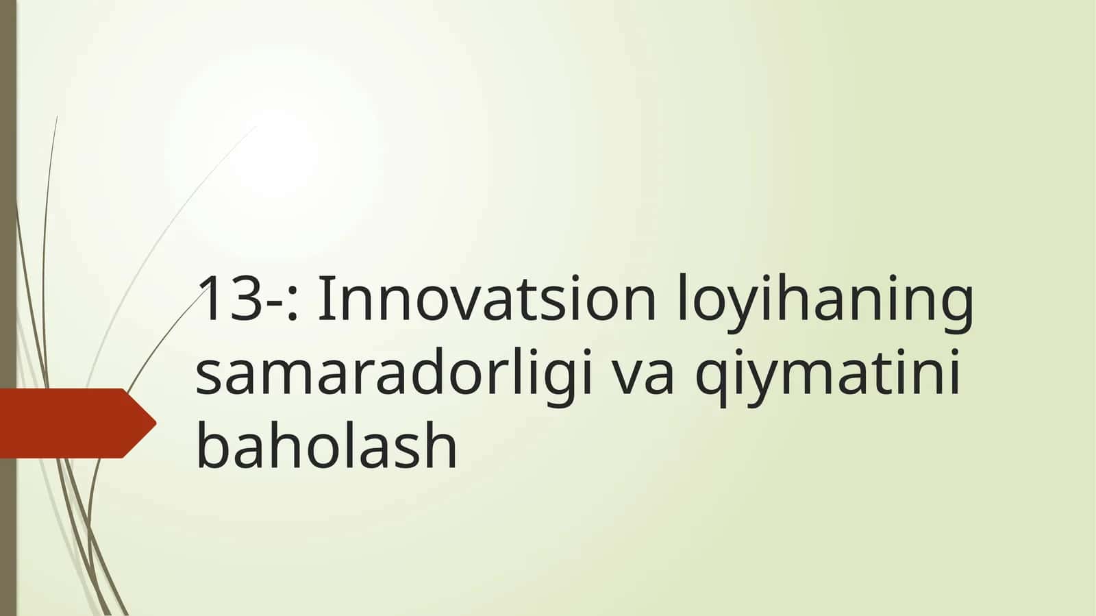 Innovatsion loyihaning samaradorligi va qiymatini baholash 1