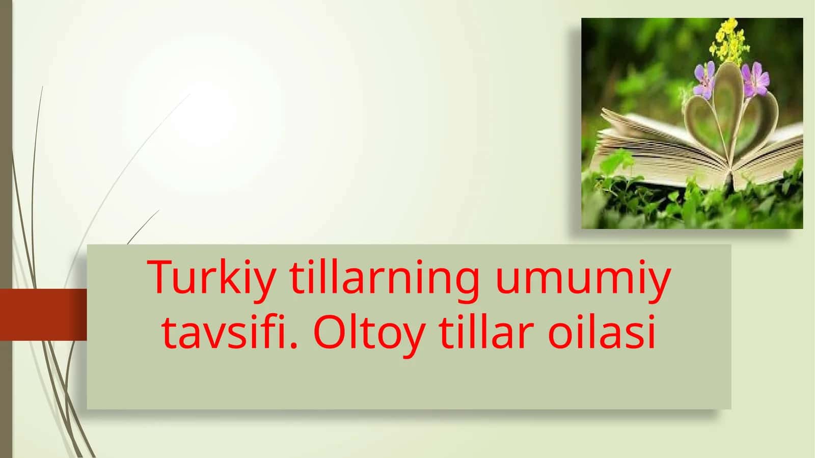 Turkiy tillarning umumiy tavsifi. Oltoy tillar oilasi 1