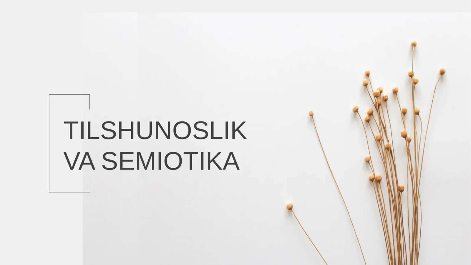 Tilshunoslik va Semiotika 1