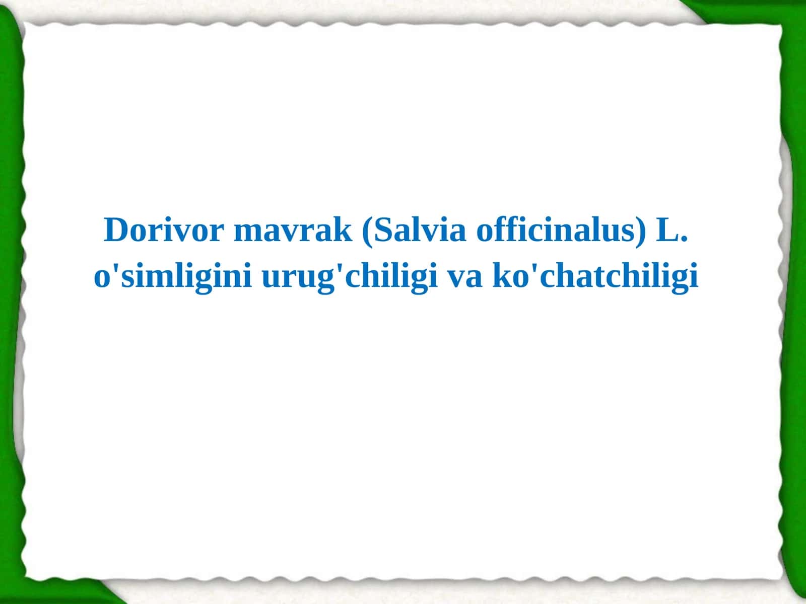 Dorivor mavrak (Salvia officinalus) L. o'simligini urug'chiligi va ko'chatchiligi 1