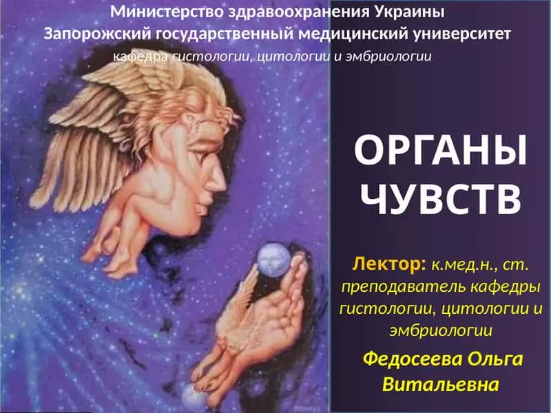 ОРГАНЫ ЧУВСТВ 1