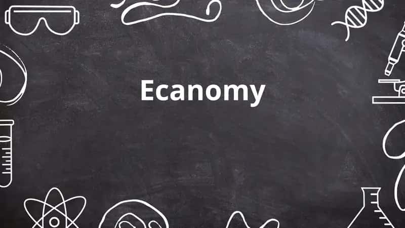 Ecanomy 1