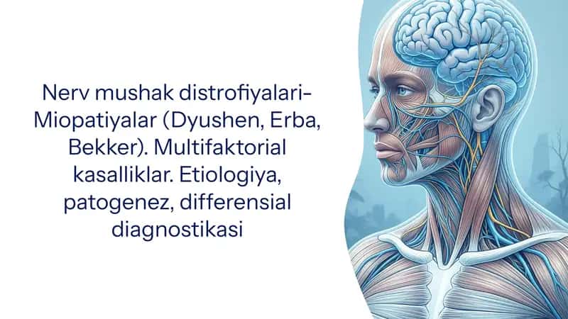Nerv mushak distrofiyalari- Miopatiyalar (Dyushen, Erba, Bekker). Multifaktorial kasalliklar. Etiologiya, patogenez, differensial diagnostikasi 1