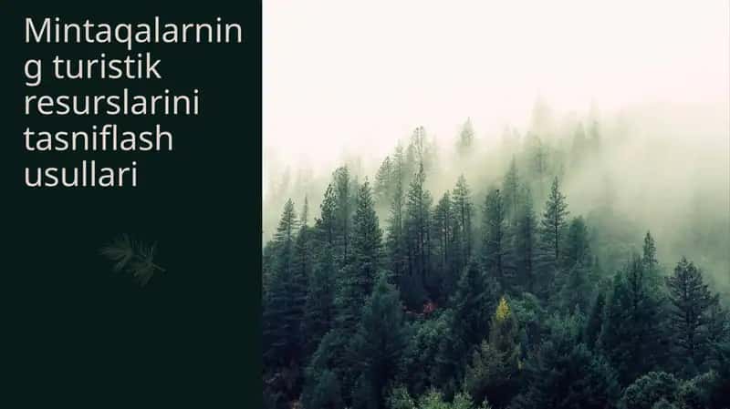 Mintaqalarning turistik resurslarini tasniflash usullari 1