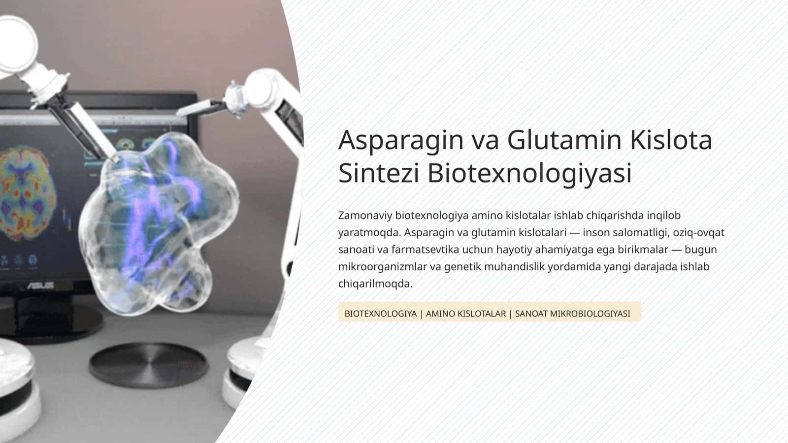 Asparagin va Glutamin Kislota Sintezi Biotexnologiyasi 1
