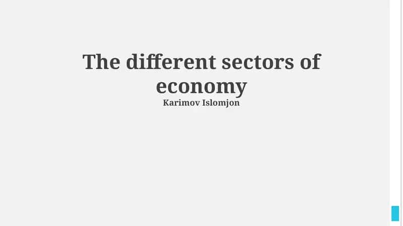 The different sectors of economy 1