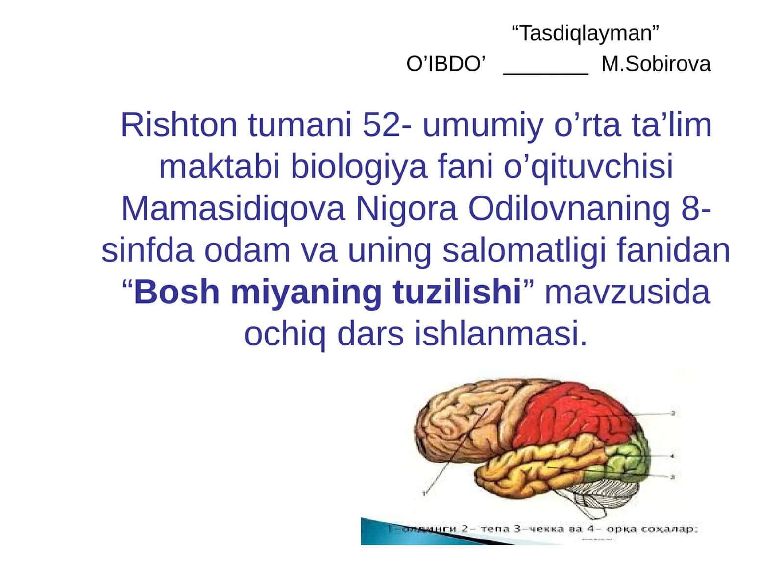 8-sinf Odam va uning salomatligi fanidan Bosh miyaning tuzilishi ochiq dars ishlanmasi 1