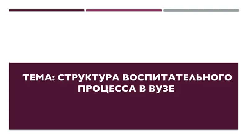 Структура воспитательного процесса в вузе 1