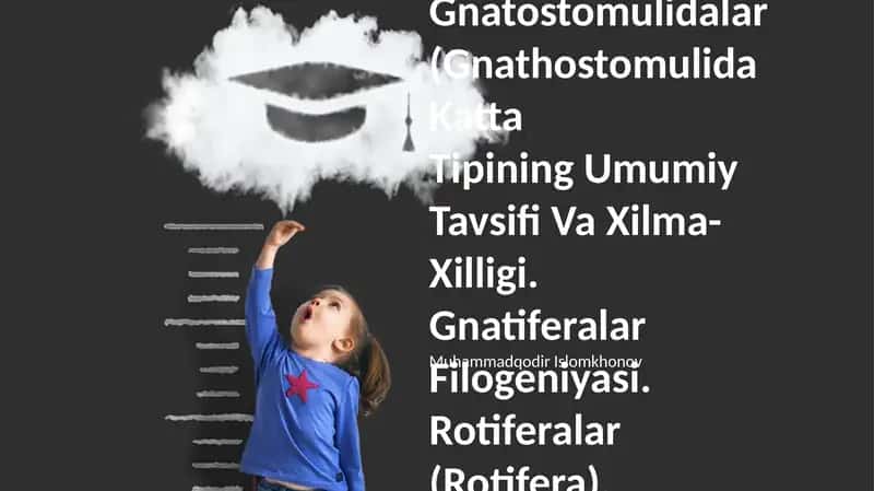 Gnatiferalar, Gnatostomulidalar, Rotiferalar, Kamptozolar, Siklioforalar 1