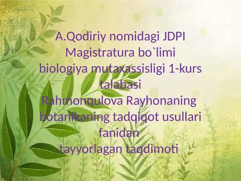 Oʻsimliklar morfolojiyasi 1