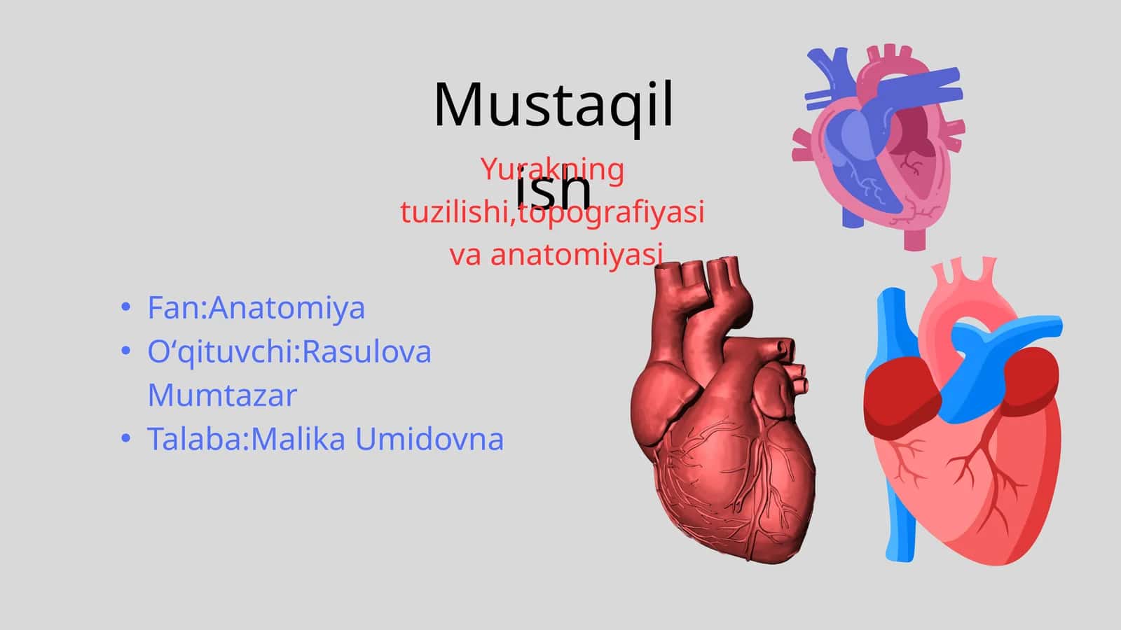 Yurakning tuzilishi,topografiyasi va anatomiyasi 1