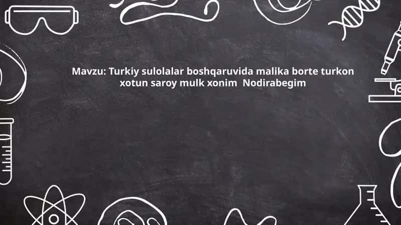Turkiy sulolalar boshqaruvida malika borte turkon xotun saroy mulk xonim  Nodirabegim 1