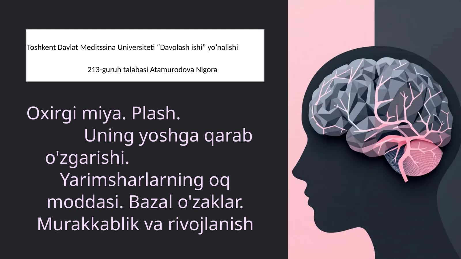 Oxirgi Miya (Telencephalon): Murakkablik va Rivojlanish 1