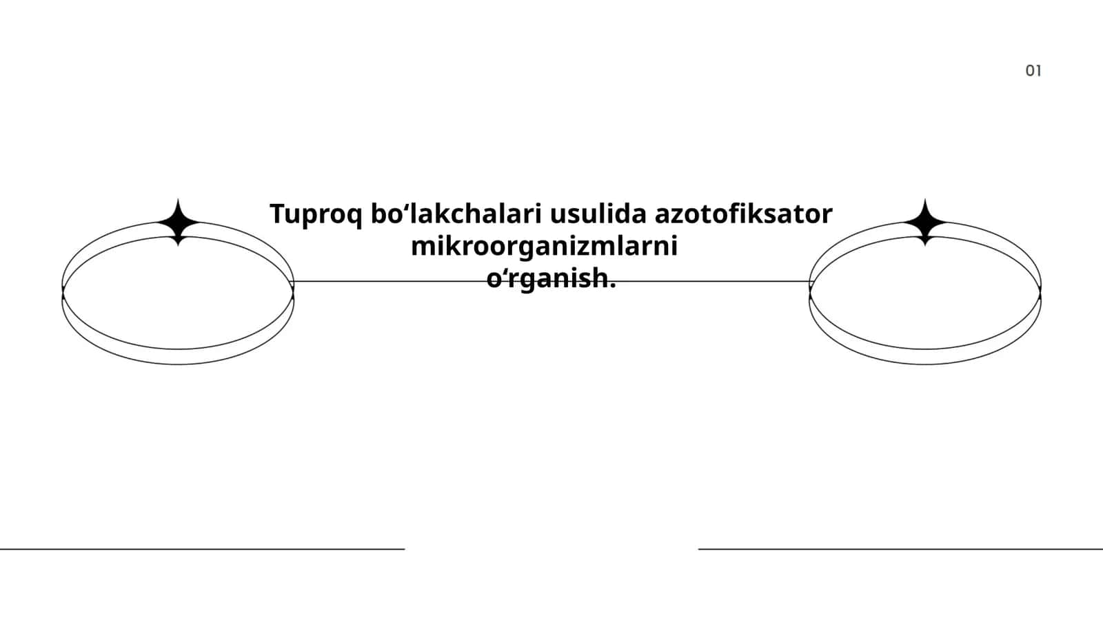 Tuproq bo‘lakchalari usulida azotofiksator mikroorganizmlarni o‘rganish 1