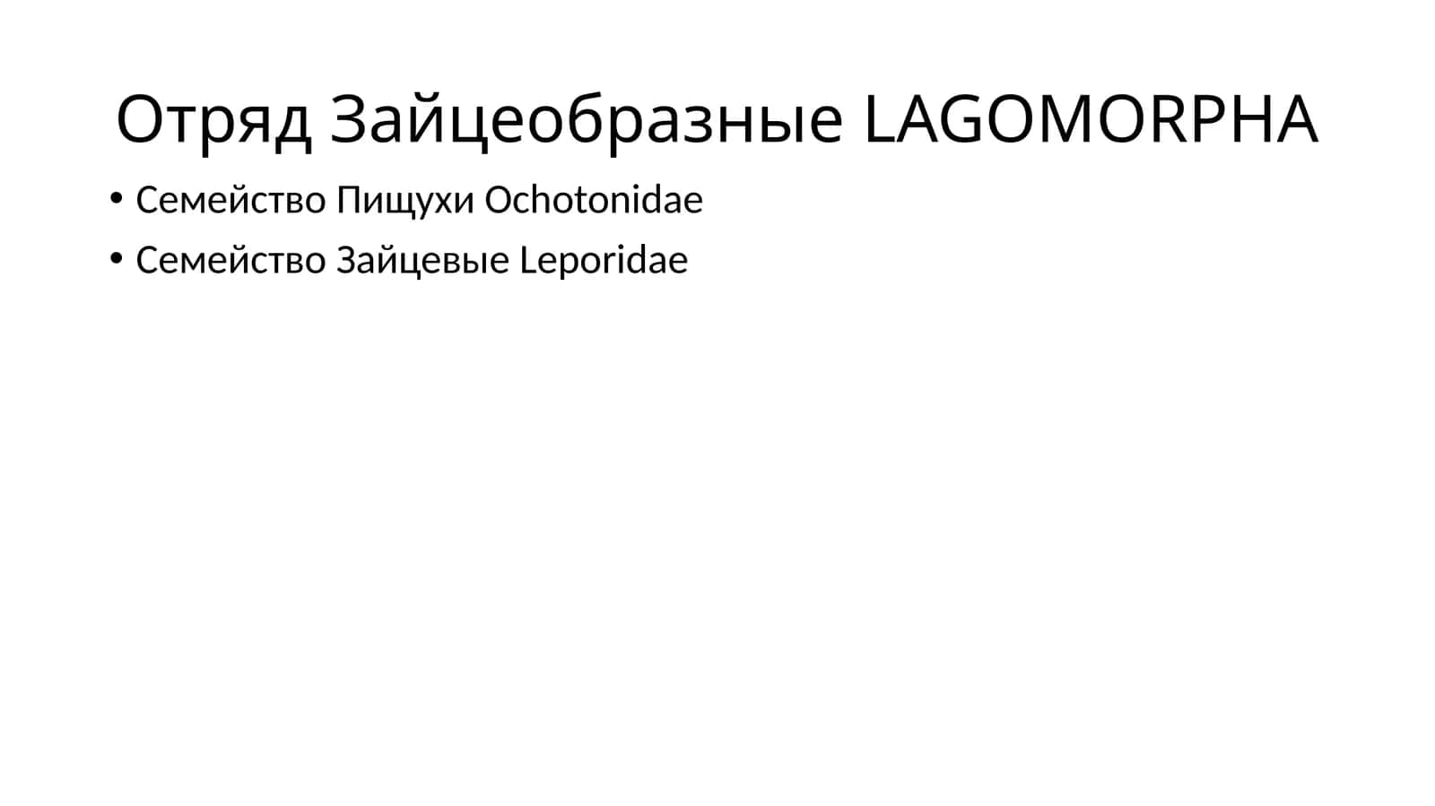 Отряд Зайцеобразные LAGOMORPHA 1