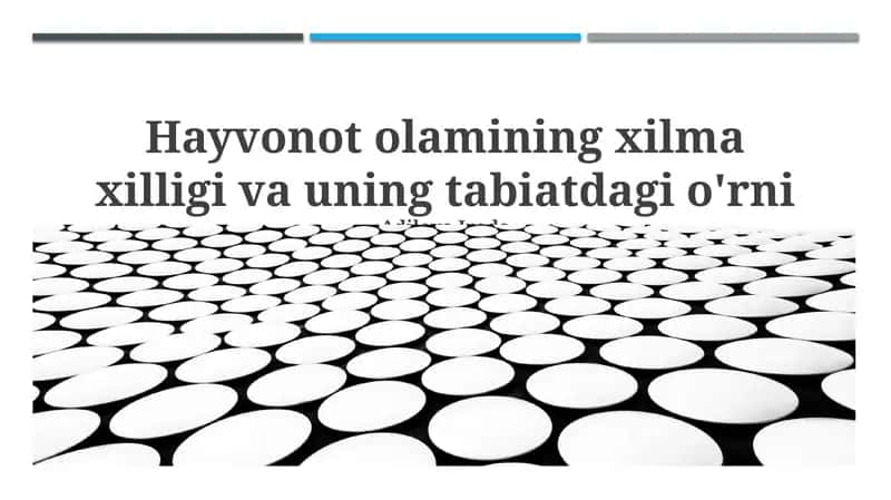 Hayvonot olamining xilma xilligi va uning tabiatdagi o'rni 1