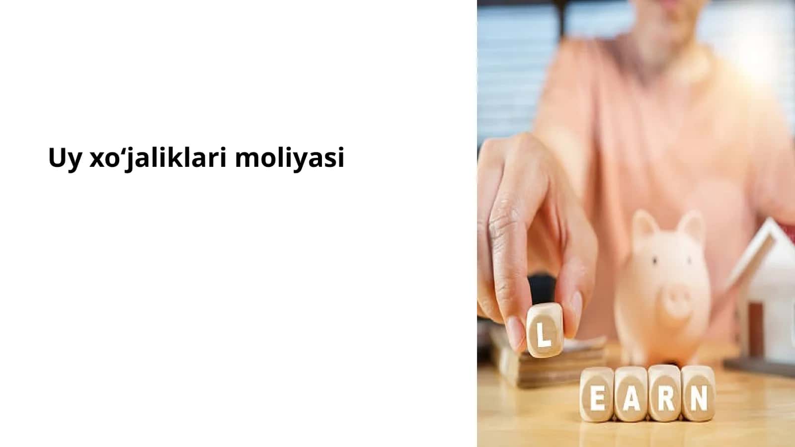Uy xoʻjaliklari moliyasi 1