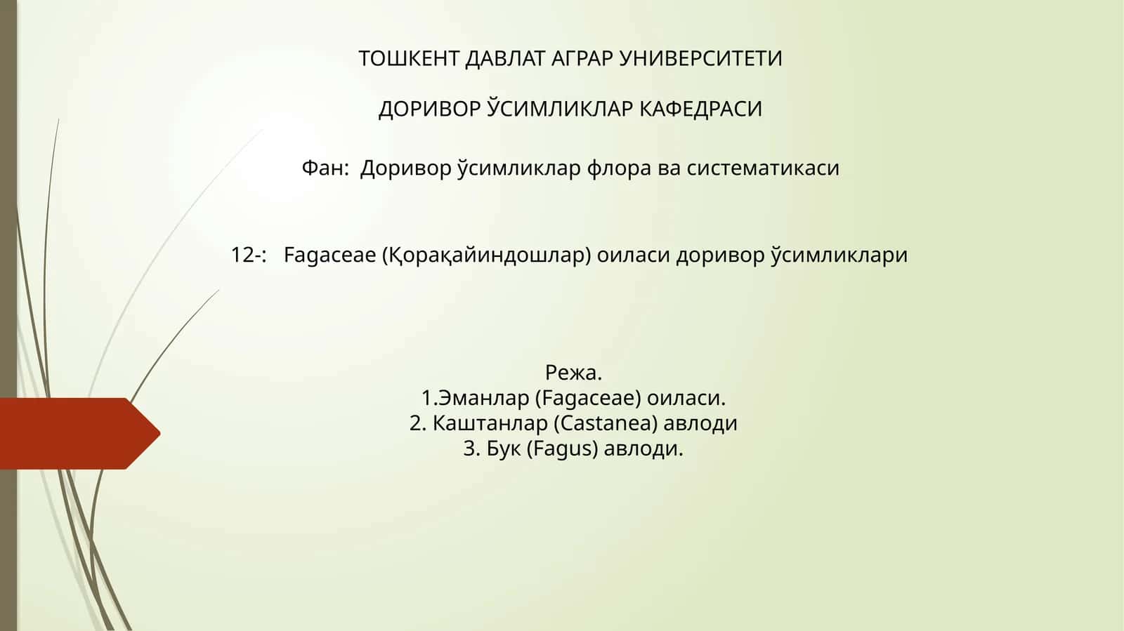 Fagaceae (Қорақайиндошлар) оиласи доривор ўсимликлари 1