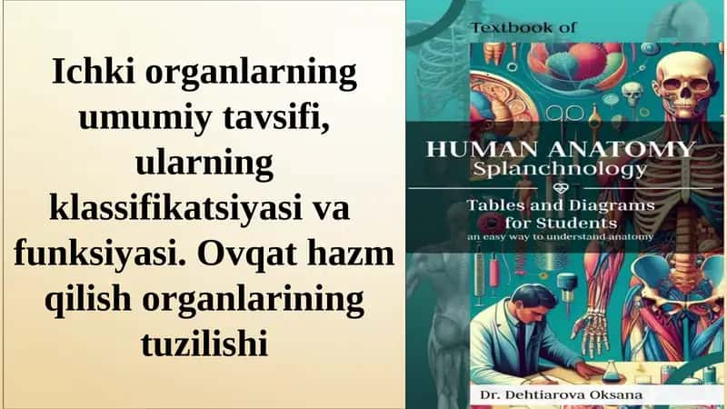 Ichki organlarning umumiy tavsifi, ularning klassifikatsiyasi va  funksiyasi. Ovqat hazm qilish organlarining tuzilishi 1