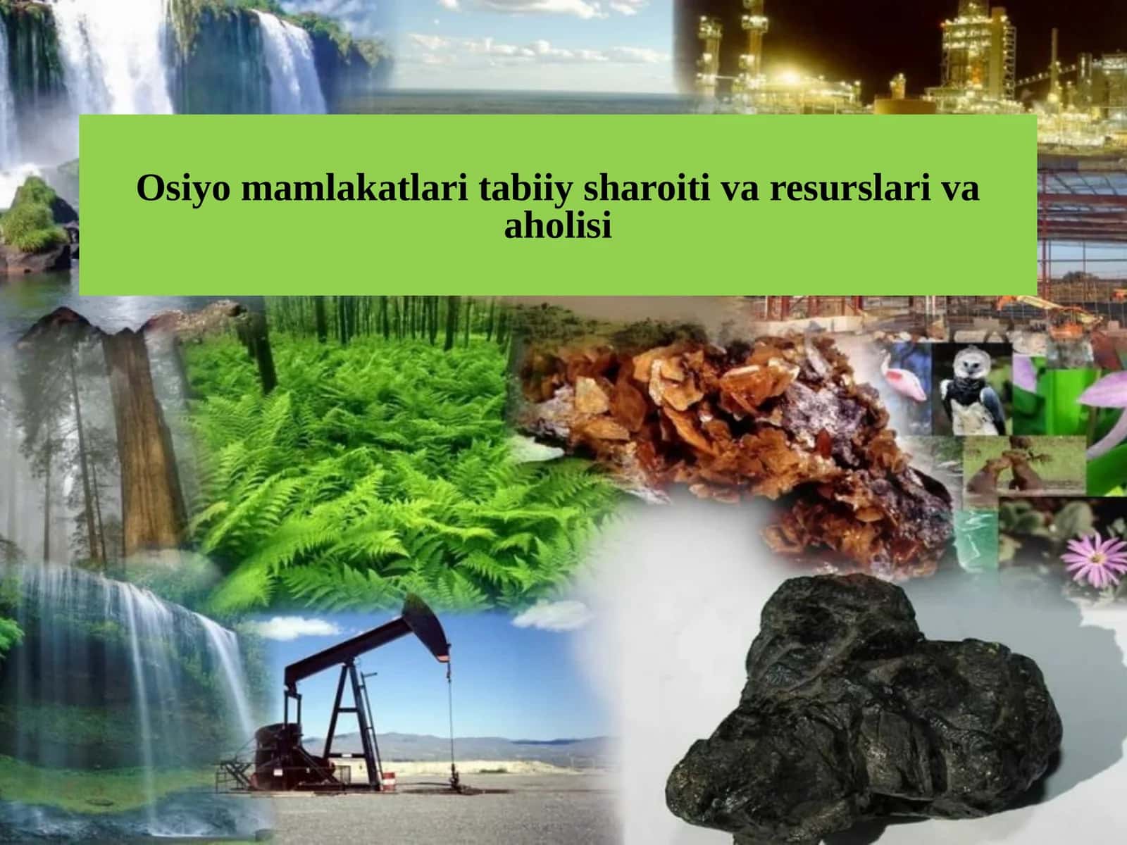 9-sinf Geografiya fanidan Osiyo mamlakatlari tabiiy sharoiti, resurslari va aholisi dars taqdimot 1