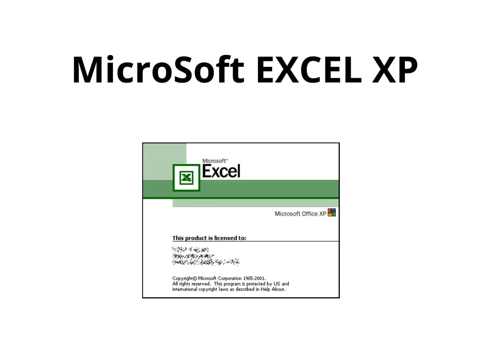 MicroSoft EXCEL XP 1