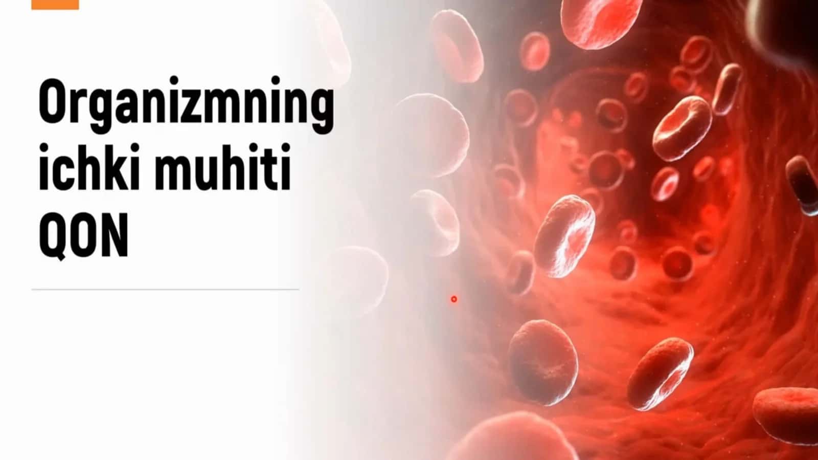 Organizmning ichki muhiti Qon 1