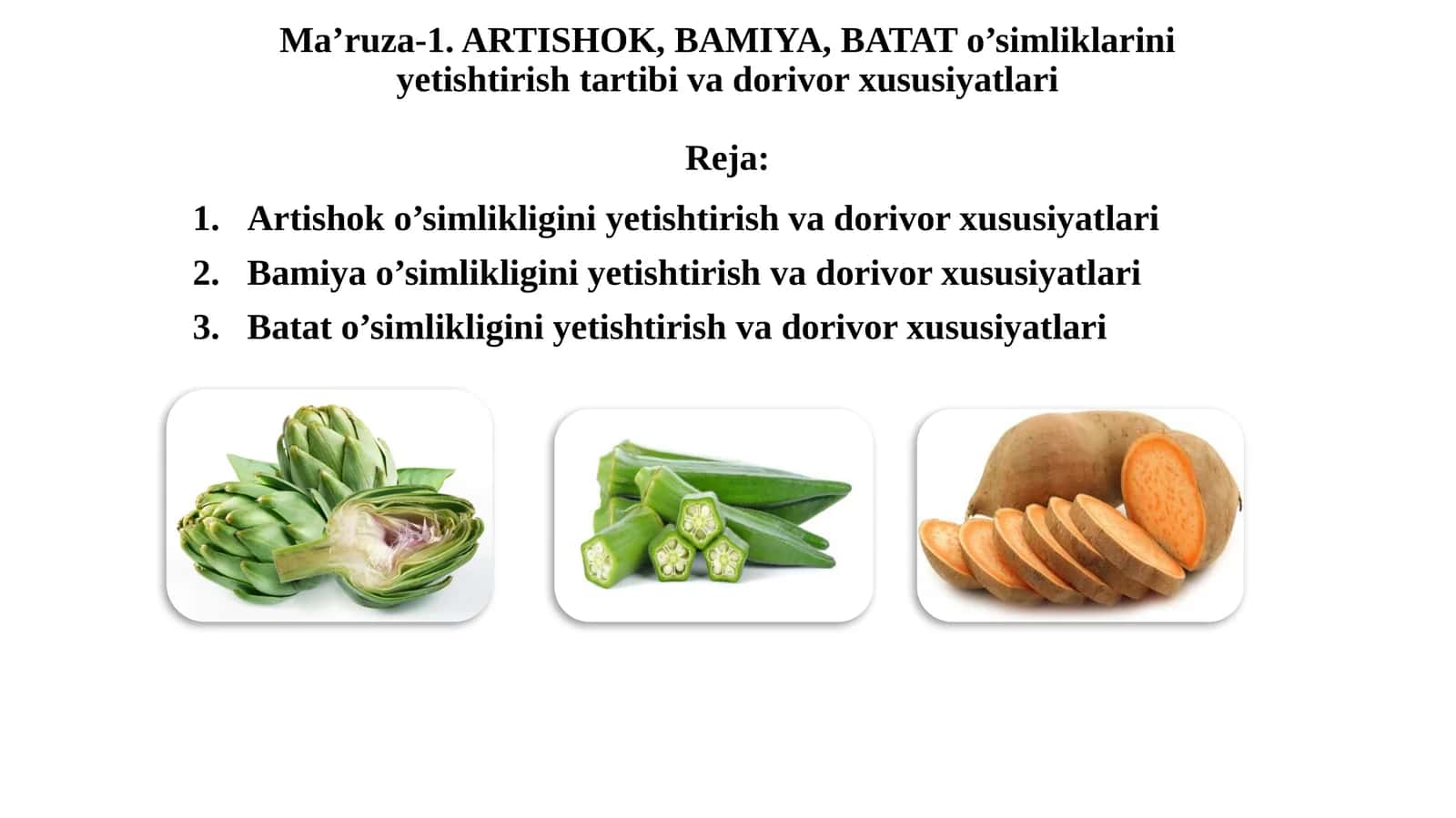 ARTISHOK, BAMIYA, BATAT o’simliklarini yetishtirish tartibi va dorivor xususiyatlari 1