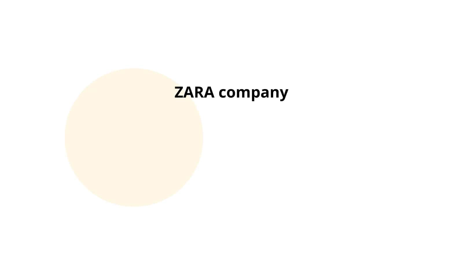 ZARA company 1