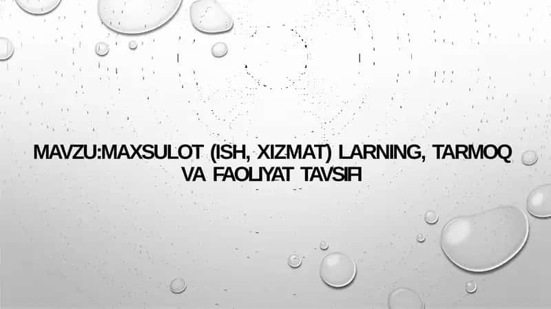 MAXSULOT (ISH, XIZMAT) LARNING, TARMOK VA FAOLIYAT TAVSIFI 1
