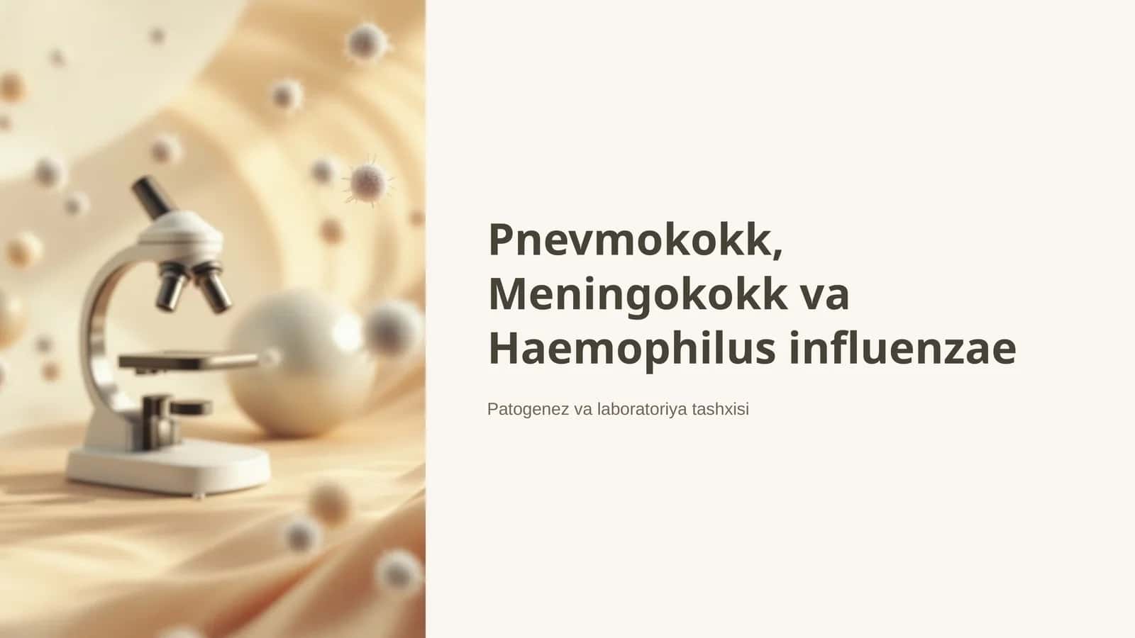 Pnevmokokk, Meningokokk va Haemophilus influenzae 1