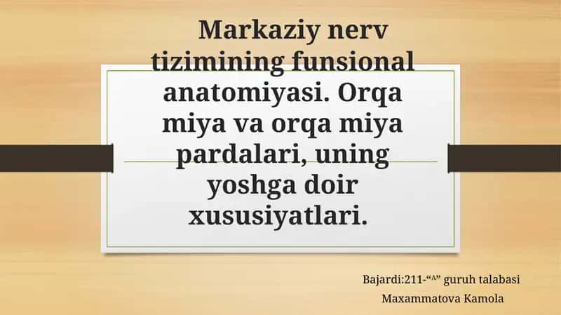 Markaziynervtizimi haqida qisqacha 1