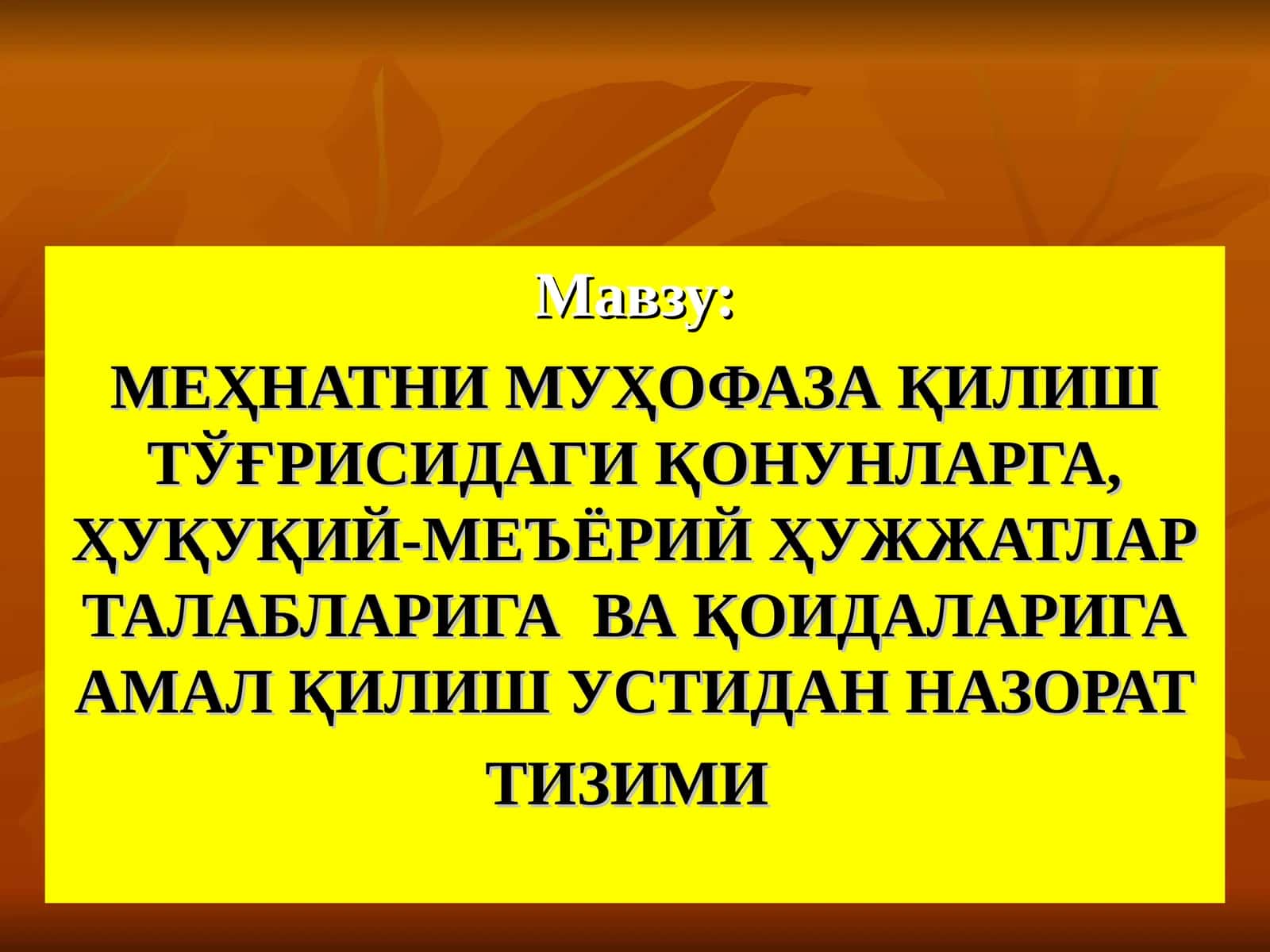 МЕҲНАТНИ МУҲОФАЗА ҚИЛИШ ТЎҒРИСИДАГИ ҚОНУНЛАРГА, ҲУҚУҚИЙ-МЕЪЁРИЙ ҲУЖЖАТЛАР ТАЛАБЛАРИГА ВА ҚОИДАЛАРИГА АМАЛ ҚИЛИШ УСТИДАН НАЗОРАТ ТИЗИМИ 1