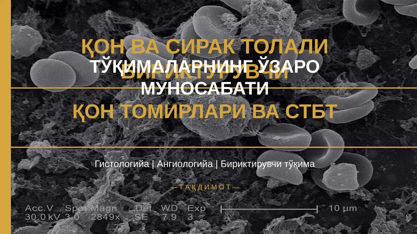 ҚОН ВА СИРАК ТОЛАЛИ БИРИКТУРУВЧИ 1