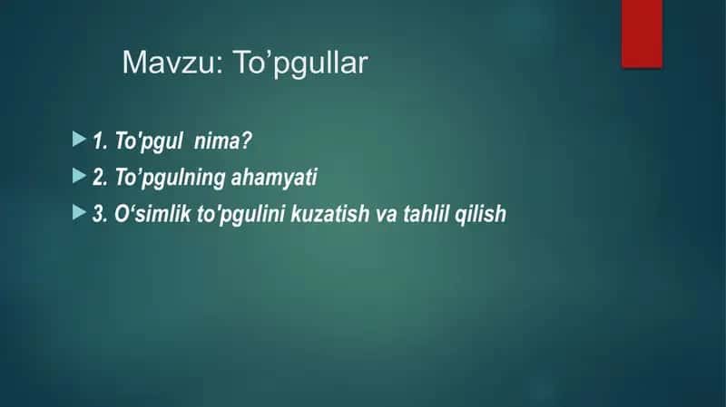 To'pgullar 1
