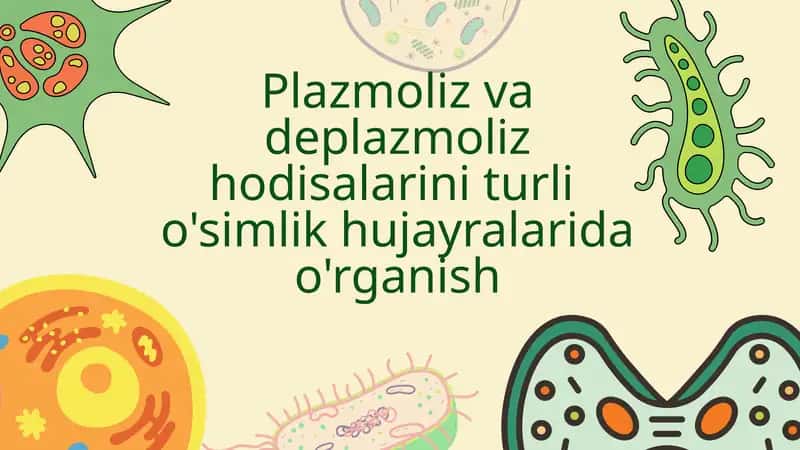 Plazmoliz va deplazmoliz hodisasi. 1