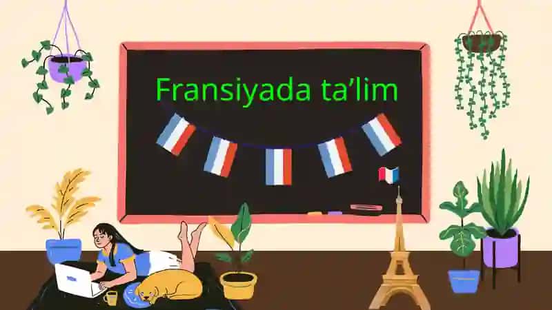 Fransiyada taʼlim