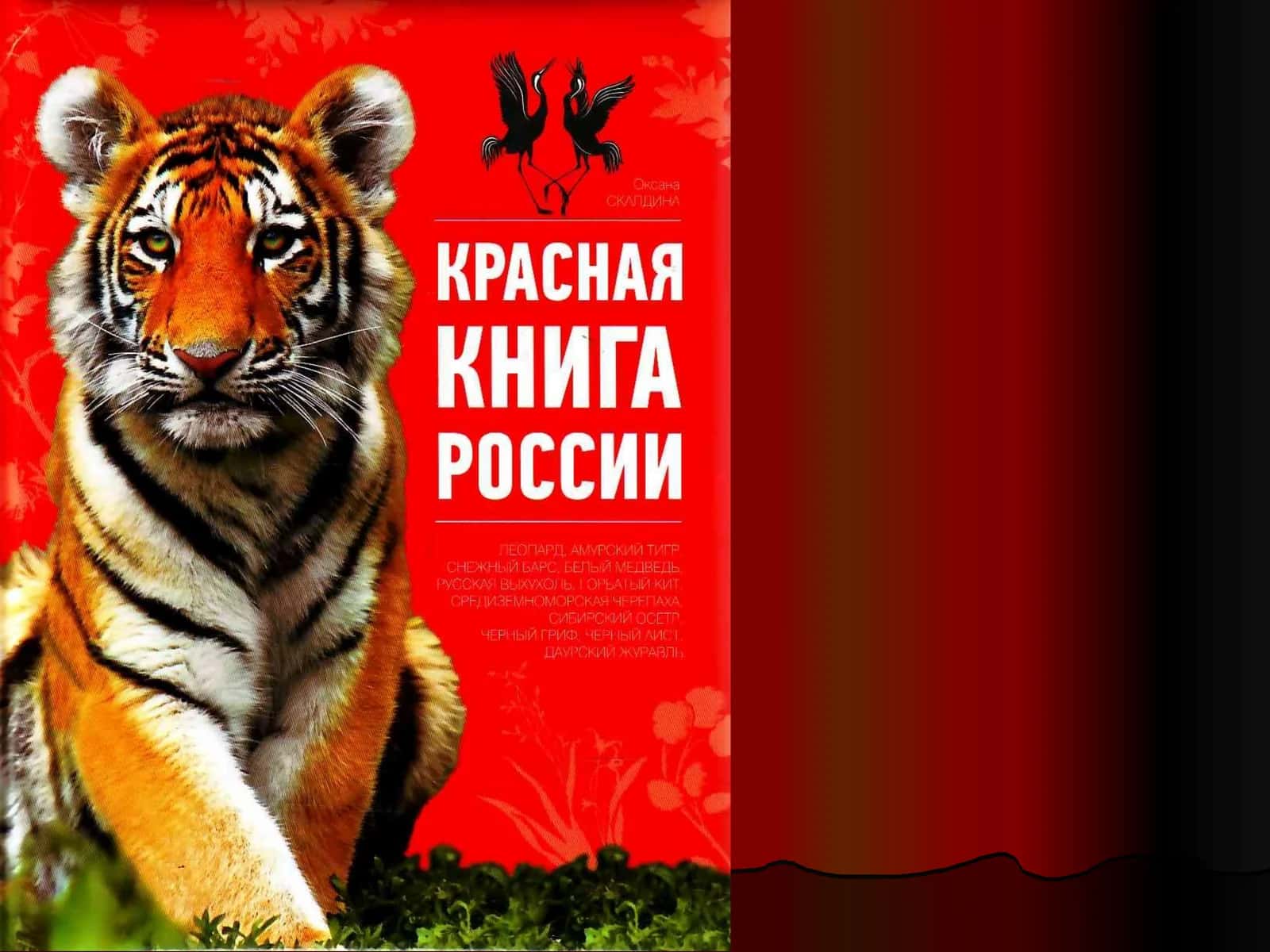 Красная книга 1