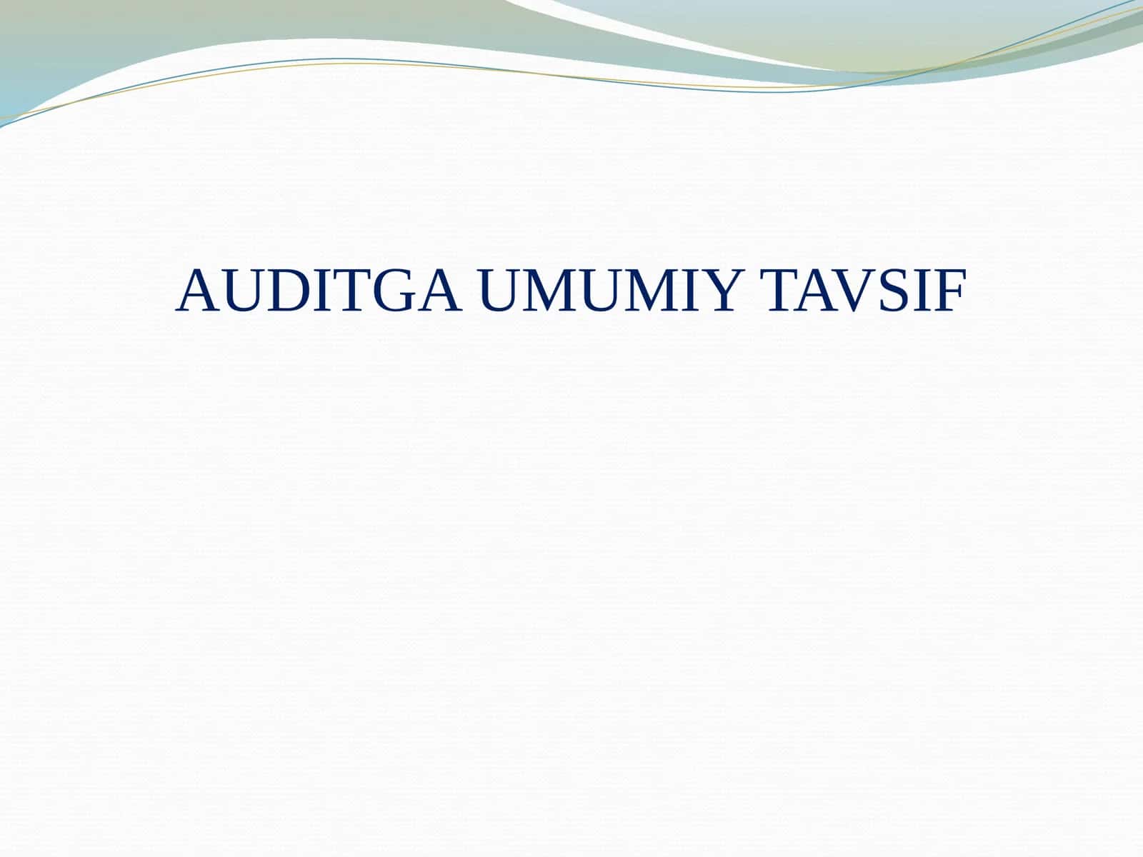 AUDITGA UMUMIY TAVSIF 1