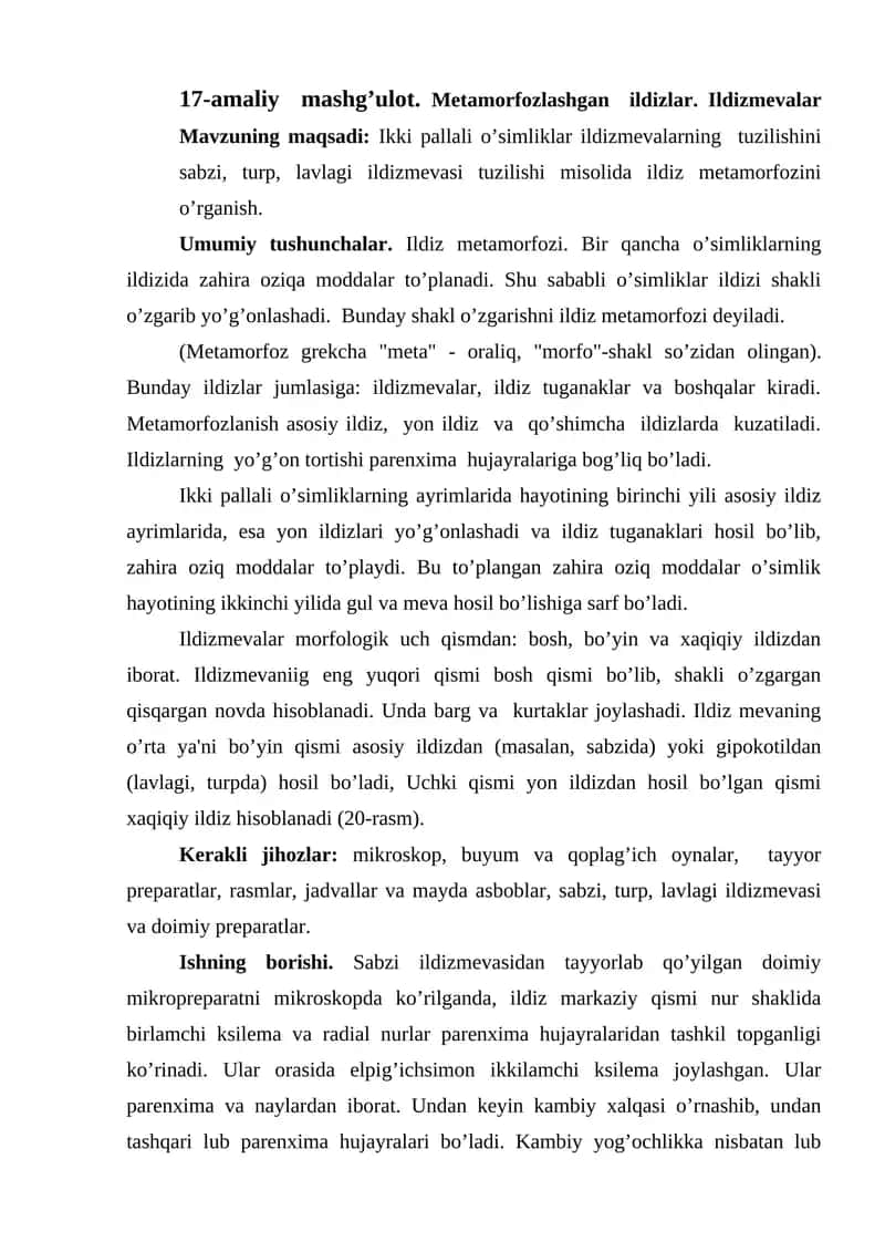 Ildiz metamorfozi 1