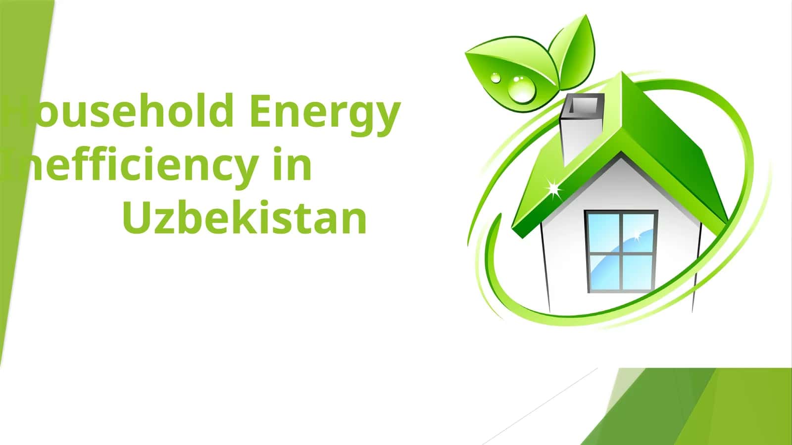 Household EnergyInefficiency in Uzbekistan 1