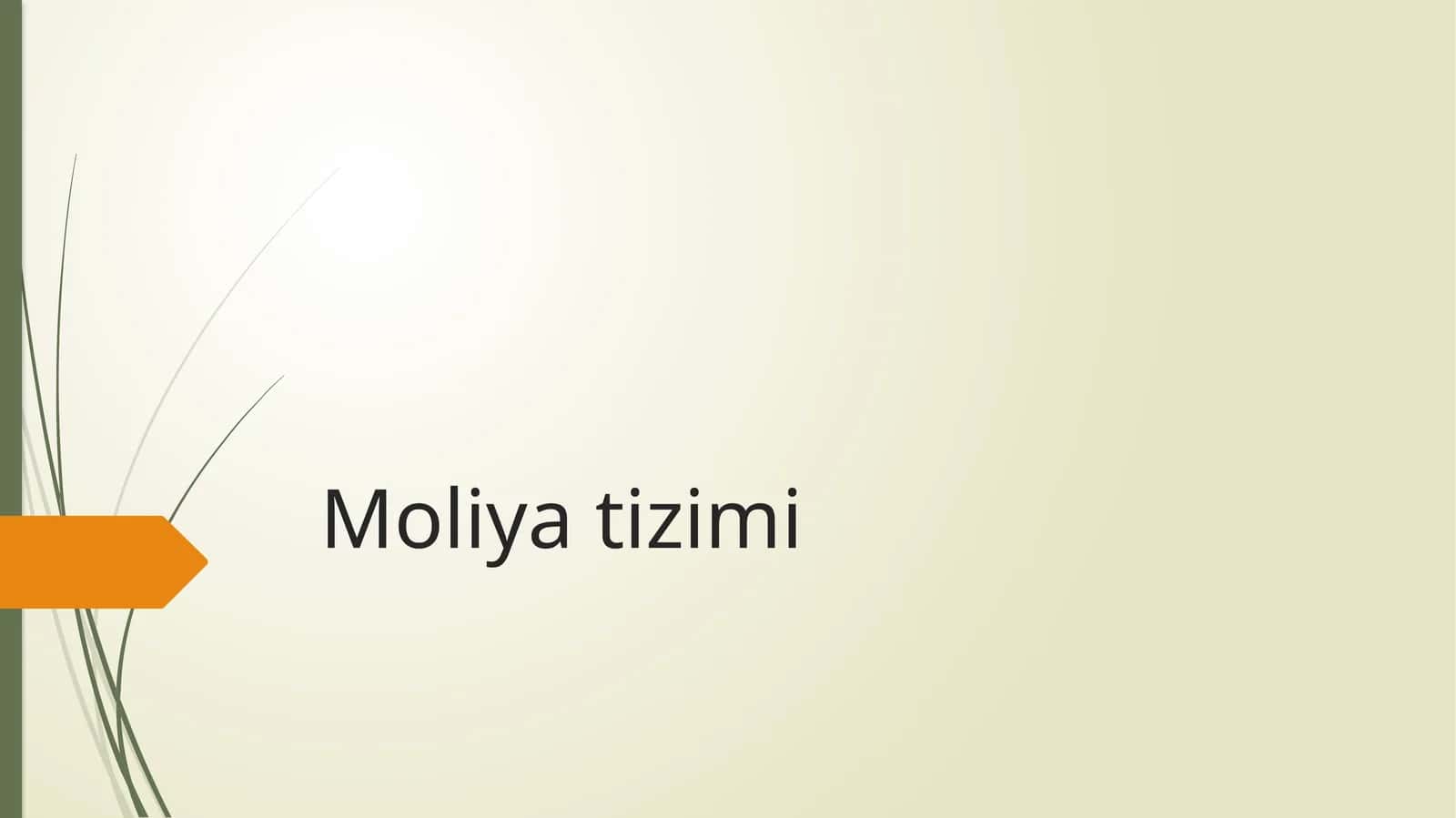 Moliya tizimi 1