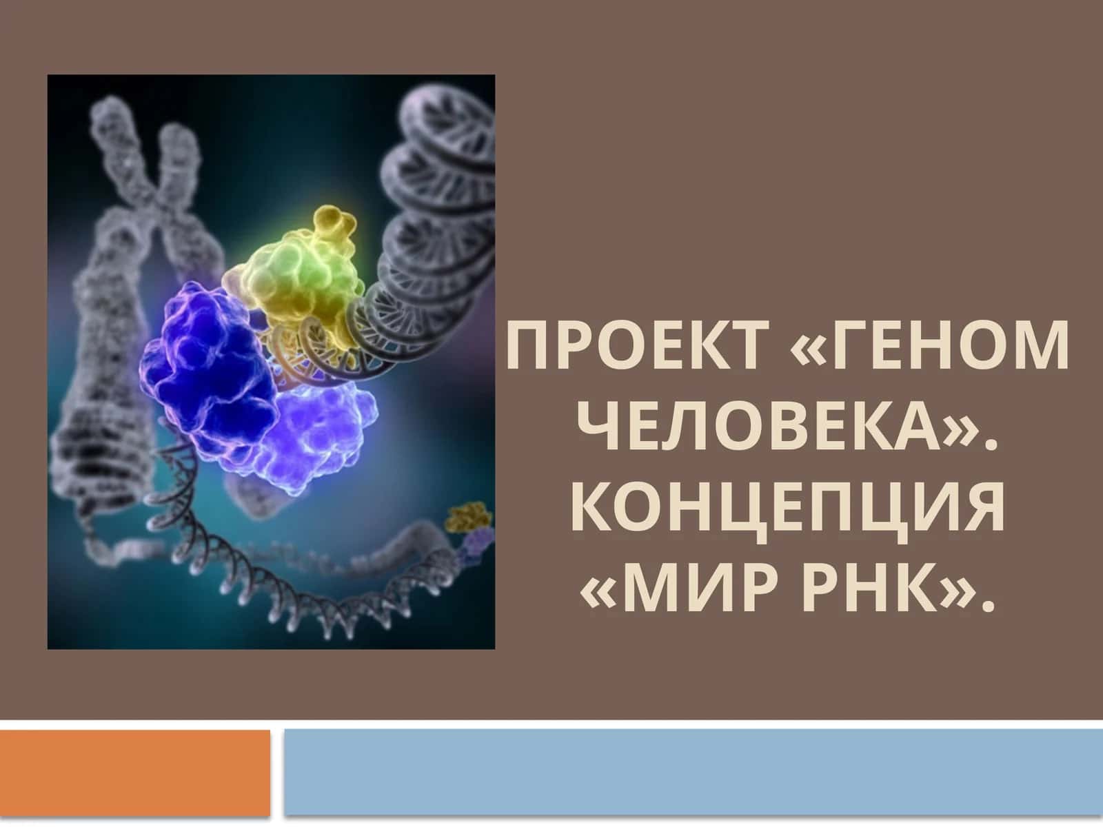 Мир РНК 1