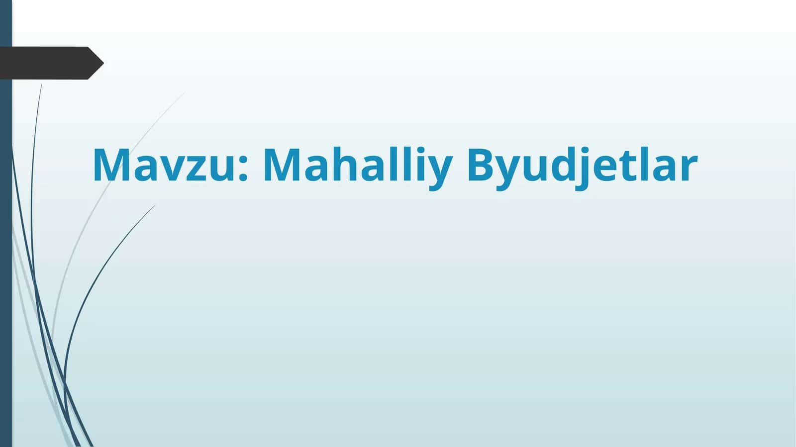 Mahalliy Byudjetlar 1