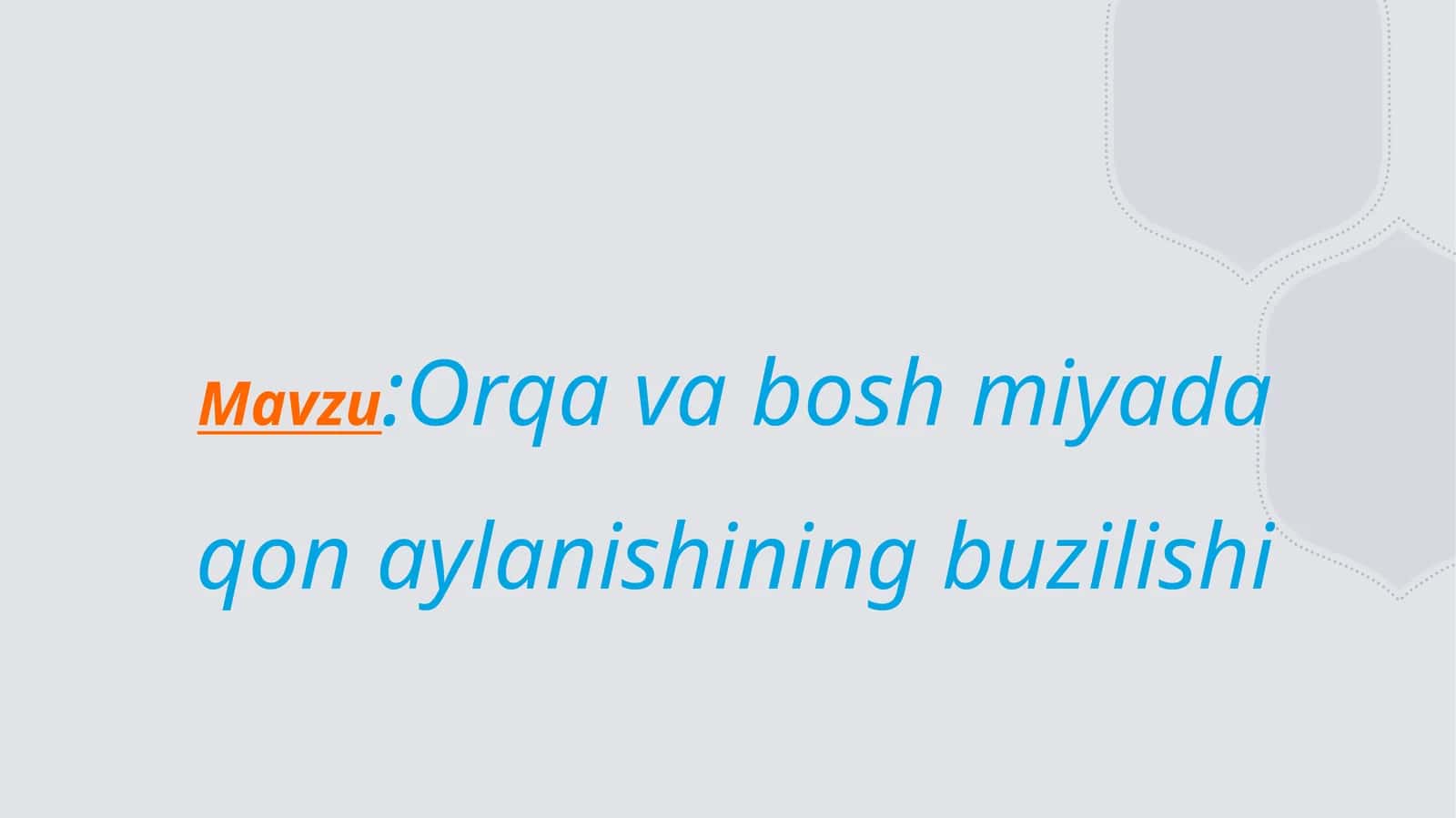 Miya va orqa miyada qon aylanishi 1