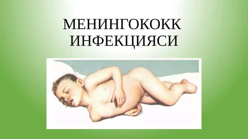 МЕНИНГОКОКК ИНФЕКЦИЯСИ 1