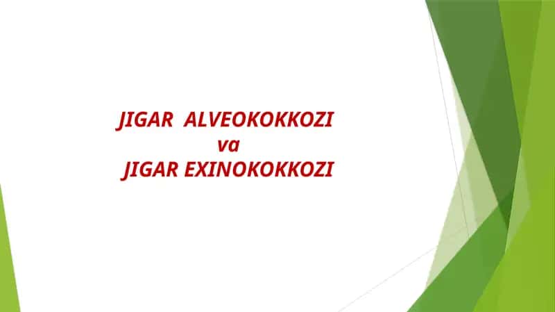 JIGAR ALVEOKOKKOZI va JIGAR EXINOKOKKOZI 1