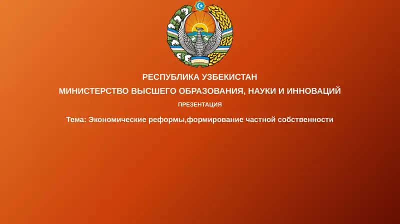 Презентация 1