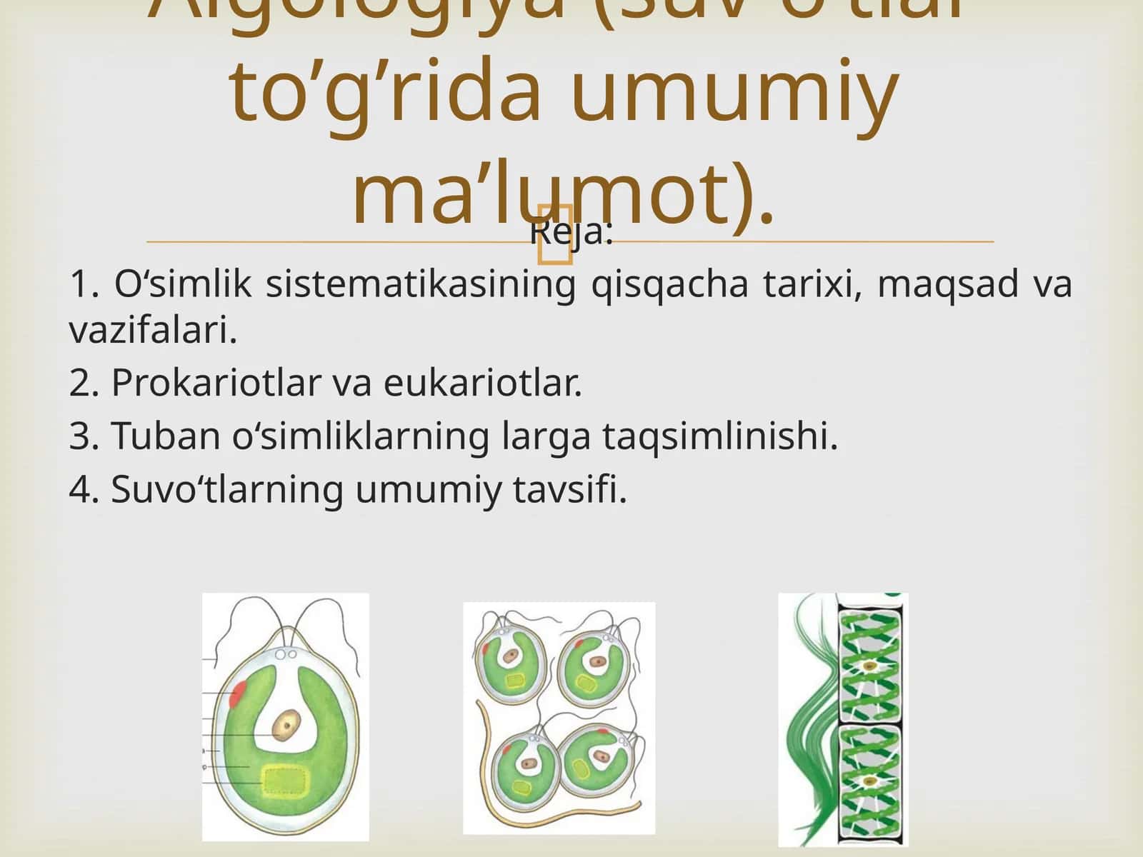 O‘simliklar Sistematikasi 1
